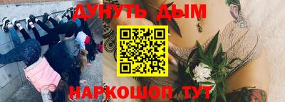хмурый Шелехов